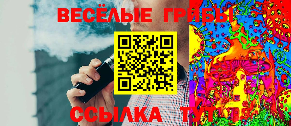 Хасавюрт  закладки  Галлюциногенные грибы Psilocybe  Вход с VPN  Псилоцибиновые грибы Psilocybe 