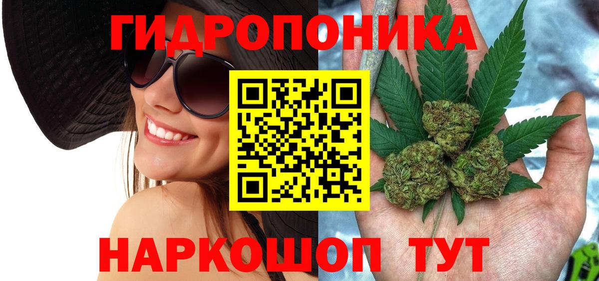 Бошки марихуана MAZAR Хасавюрт